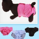 Ropa Mascota Rosada, Celeste, Morado (XS/S/M/L)