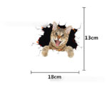 Adhesivo Automovil 4521336721191