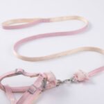 Correa Mascota Estrella CELESTE S/M