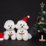 Ropa Mascota Bufanda Snowman