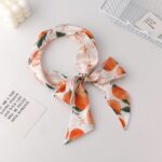 Laso Para Pelo 4768474438586 - Image 2