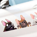 Adhesivo Automovil 22*18 Cm 4854386802533