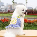 Ropa Para Mascota Patitos De Tela (XS/S/M/L)