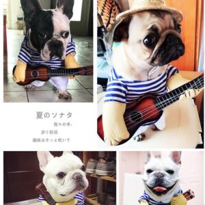 Mascota Guitarrista