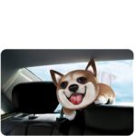 Caja De Panuelo Dibujos Corgi De Poliester 4266511498747