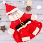 Ropa para Mascota Santa - Talla S